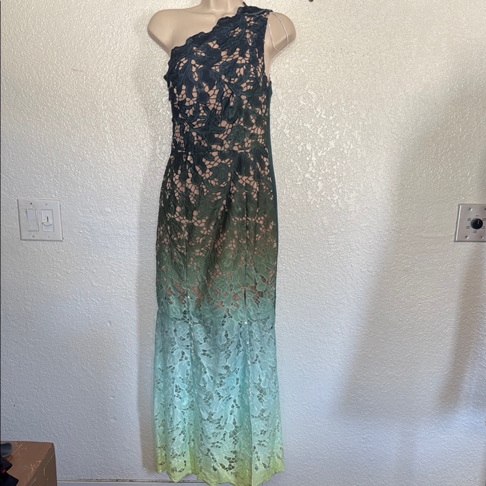 Altered Elliatt Elegant One-Shoulder Lace Dress